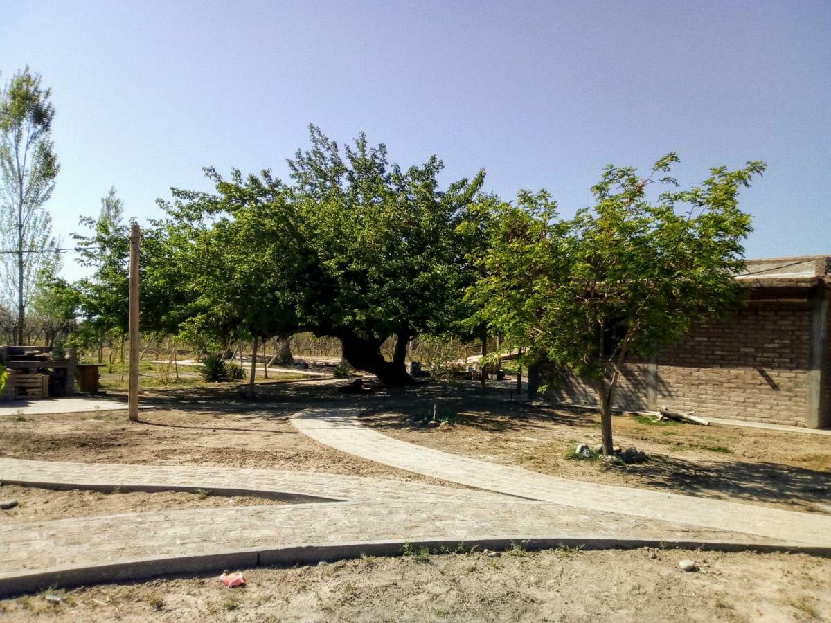 Cabanas De La Bodega Romano-Pin Albardon Exterior photo